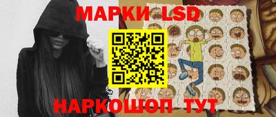 индика Гусь-Хрустальный