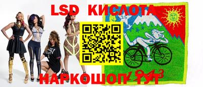 гашик Гусев