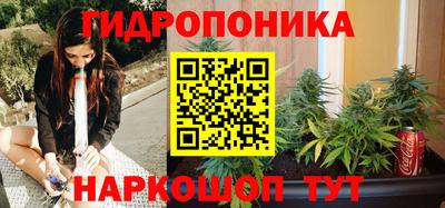 гашик Гусев