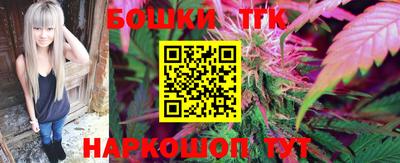 индика Гусь-Хрустальный