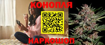 индика Гусь-Хрустальный