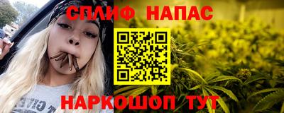 гашик Гусев